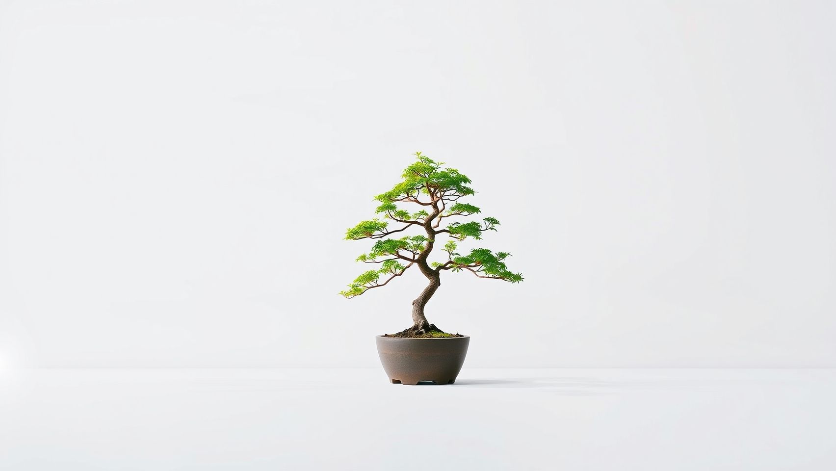 Minimalist